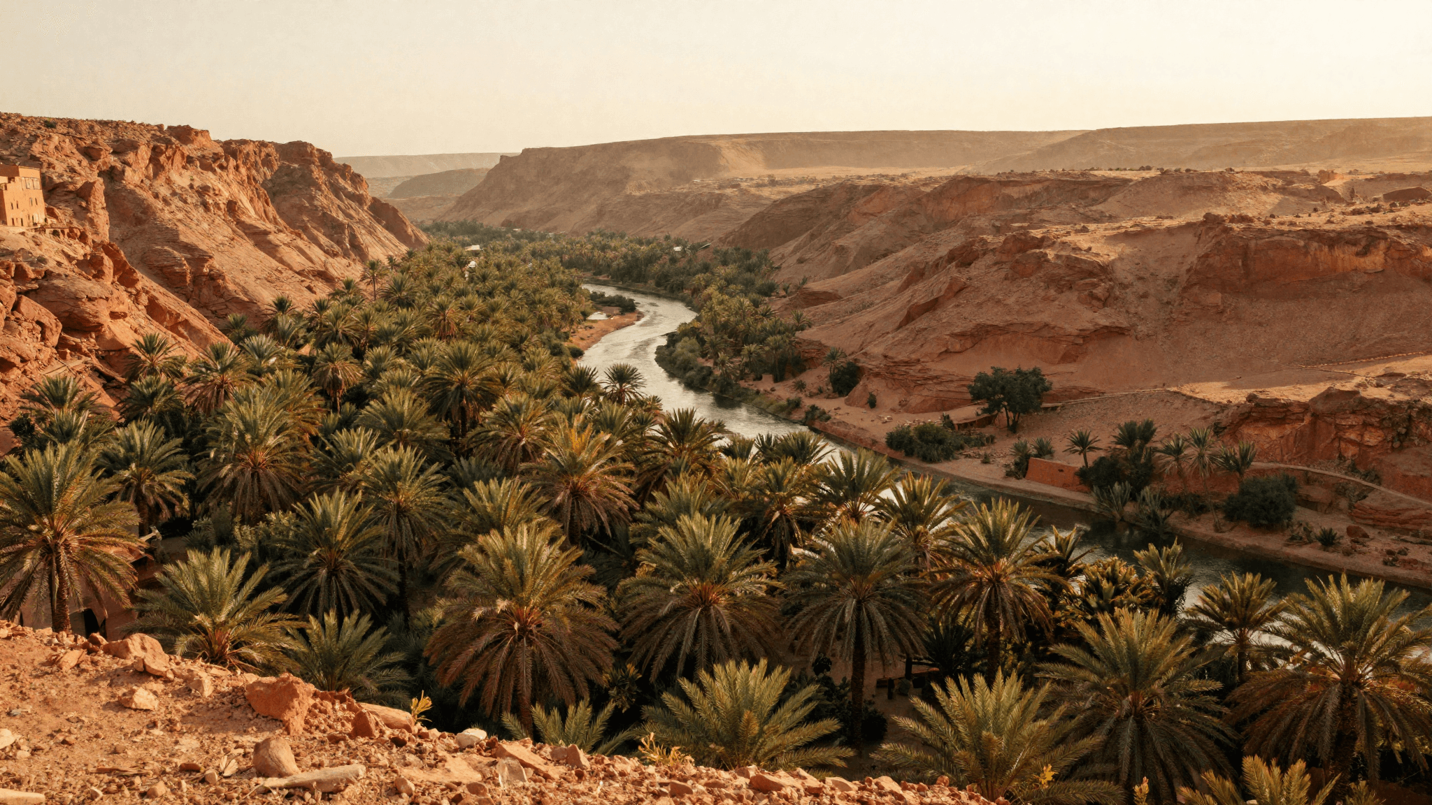 Tour di 8 Giorni da Casablanca al Deserto e Marrakech