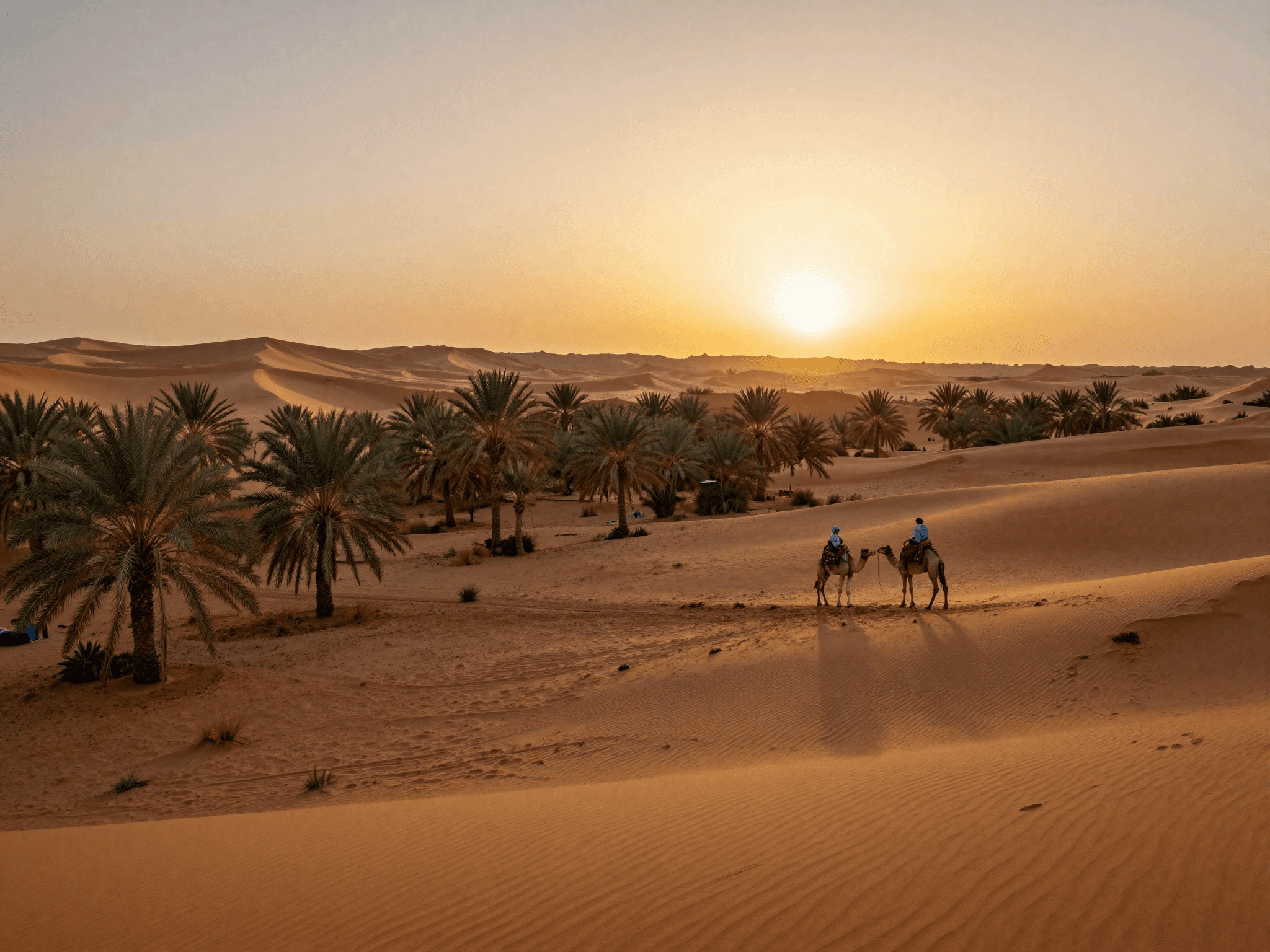 Tour di 2 Giorni da Marrakech al Deserto di Zagora