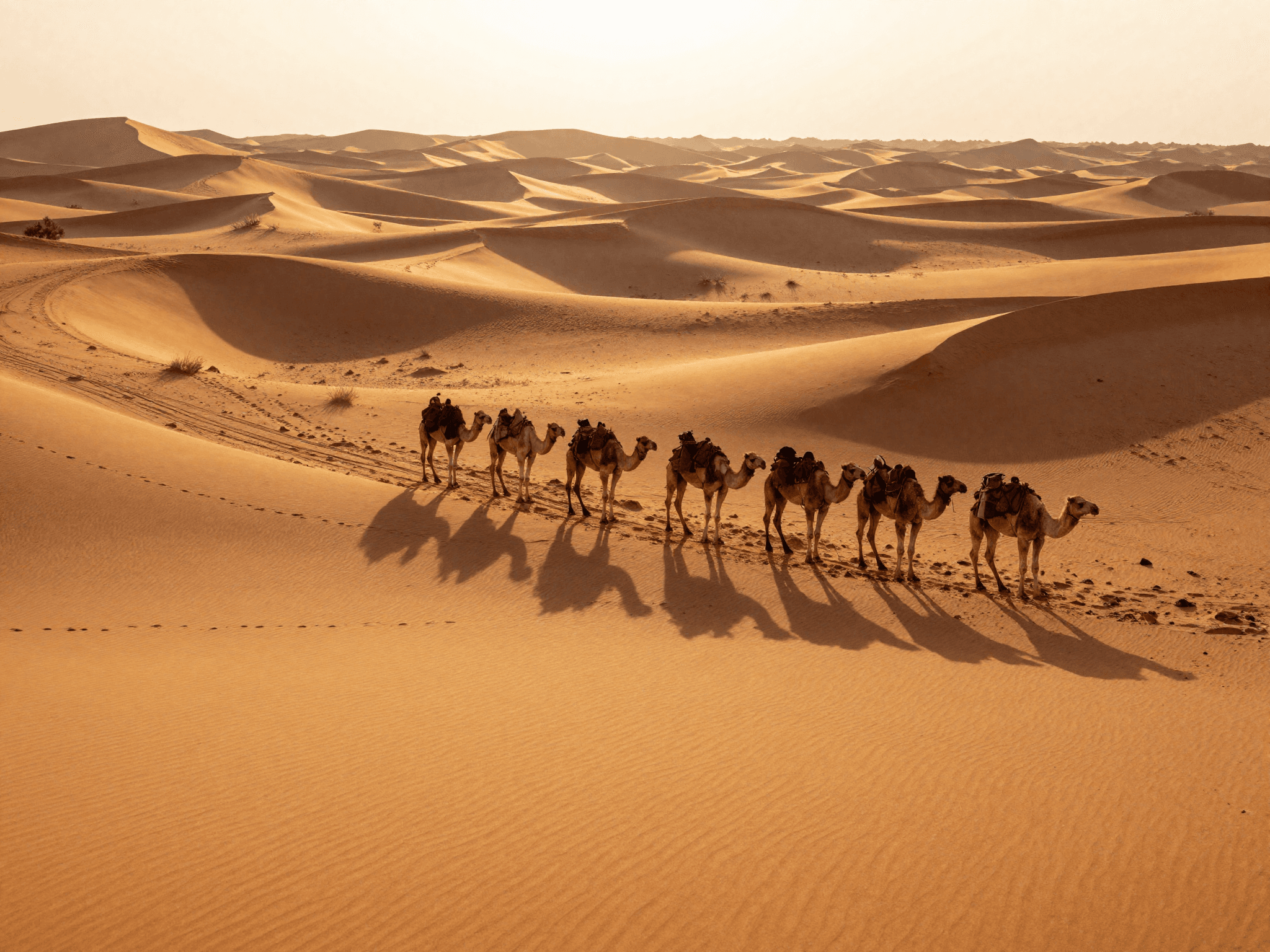 Tour di 3 Giorni da Marrakech al Deserto di Merzouga
